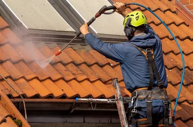 Démoussage et hydrofuge de toiture à Poyartin